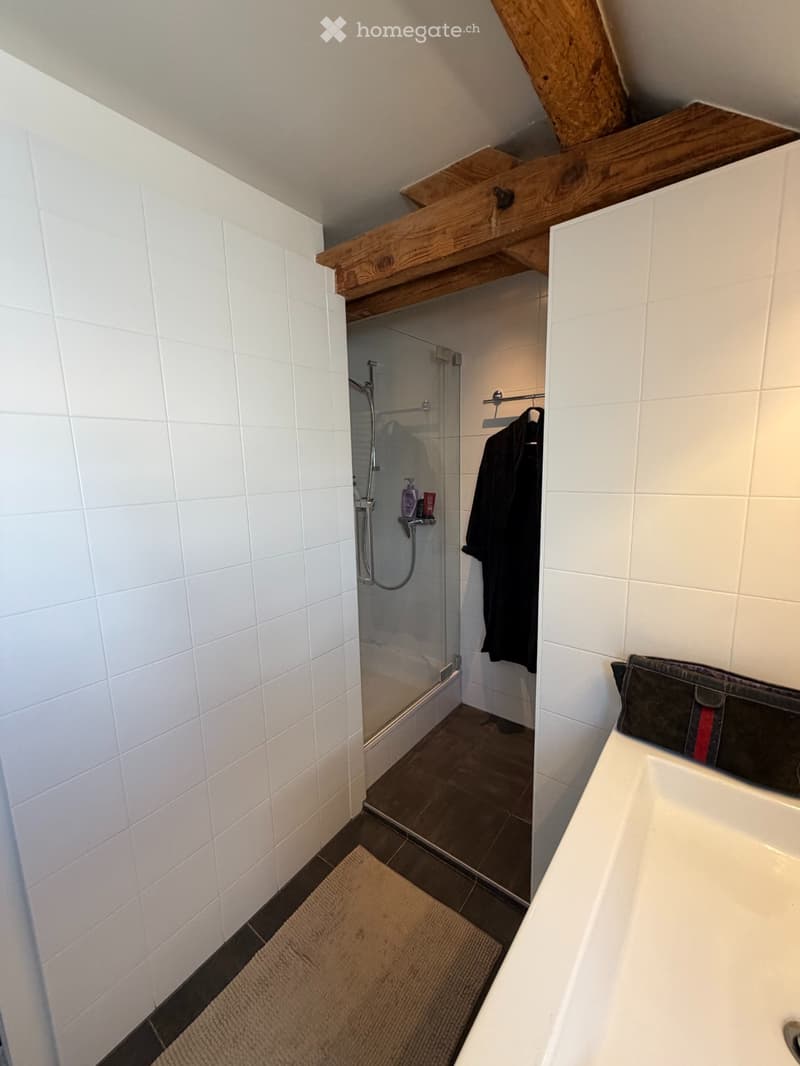 Sous-location / 6 mois / meublé. (3)