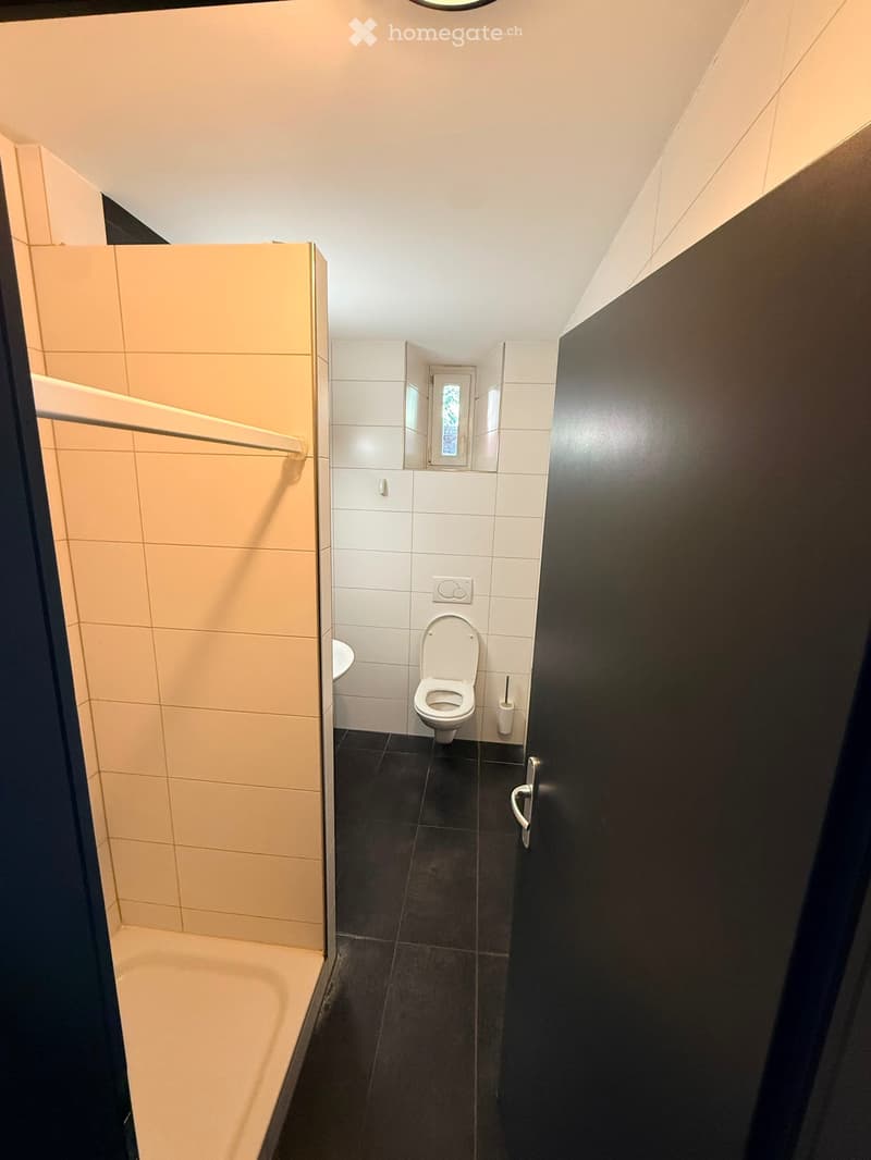 Appartement de 2.5 pièce dans un quartier calme (5)