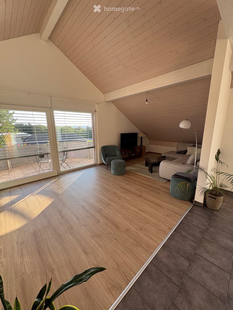 Appartement 5,5p Chatonnaye (1)