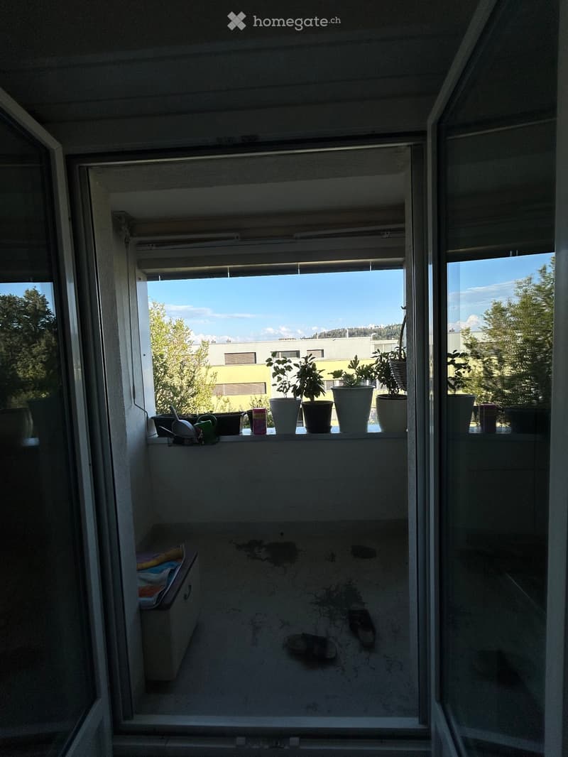Appartement lumineux à Brügg BE (3)