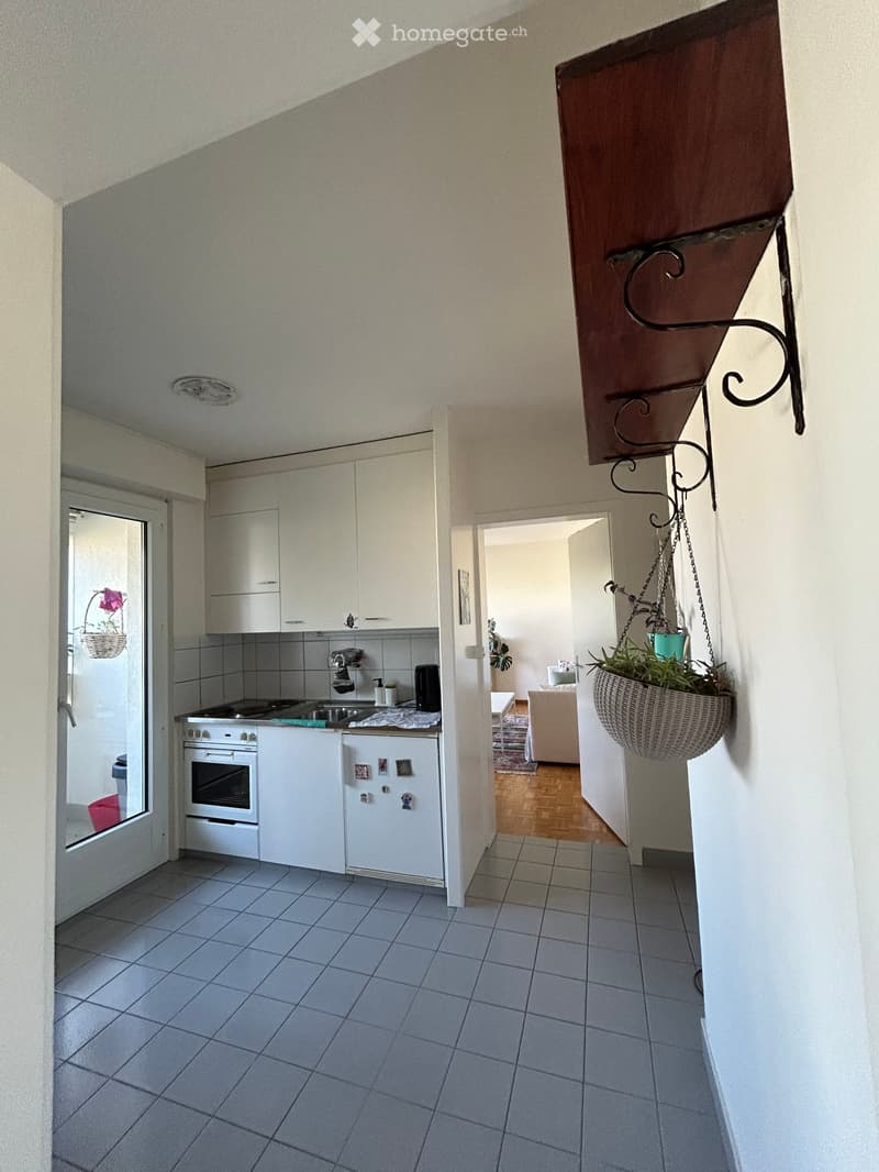 Appartement lumineux à Brügg BE (4)