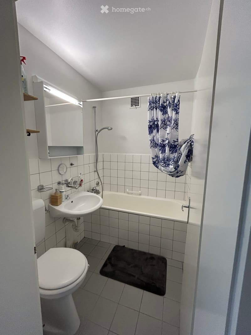 Appartement lumineux à Brügg BE (5)