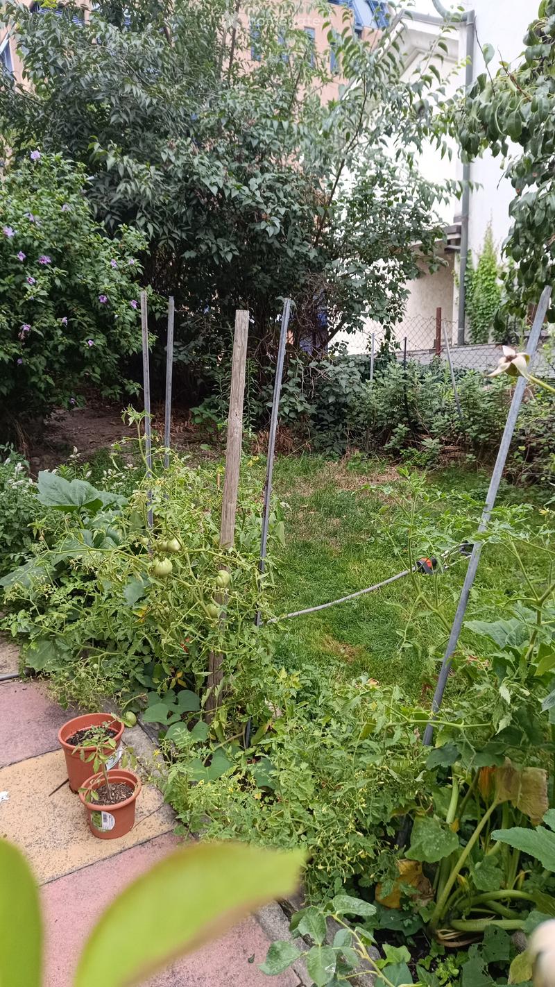 Appartement 3,5 pièces avec grand jardin (5)