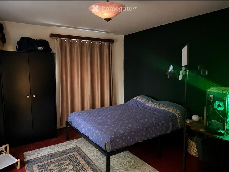 Appartement 3,5 pièces avec grand jardin (2)