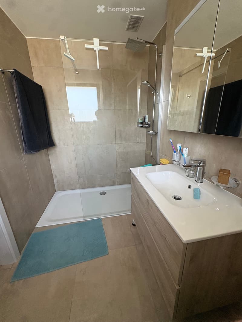 A convenir Magnifique appartement 4.5p. immeuble récent (4)