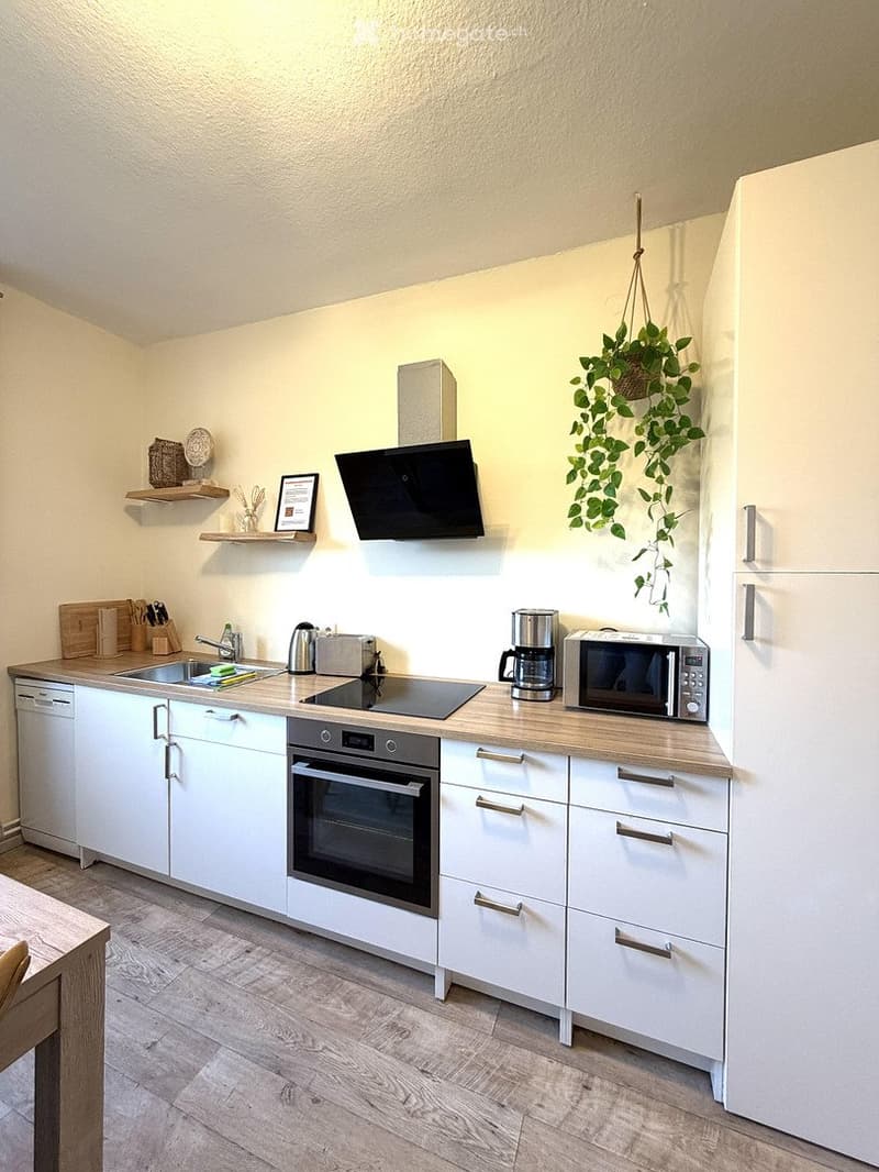 Wohnung im Herzen von Zürich (4)