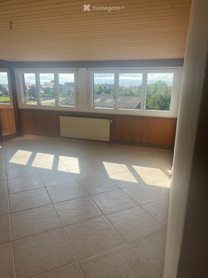 Appartement de 4.5 pièces mansardé, sous les combles (3)