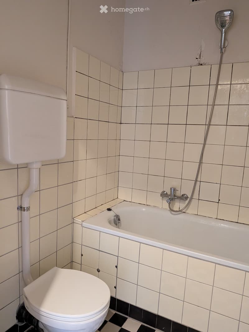 Appartement en Reprise de bail à Thônex avec balcon (4)