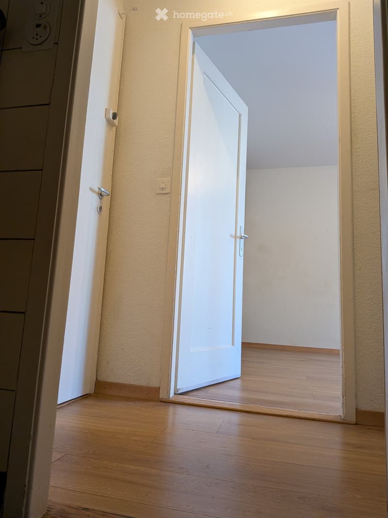 Appartement en Reprise de bail à Thônex avec balcon (3)
