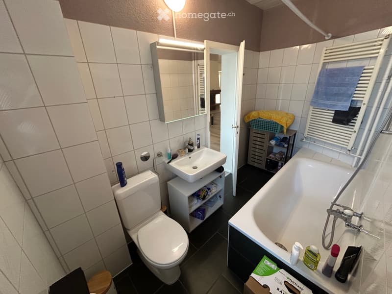 Appartement 4.5 pièces à louer (2)