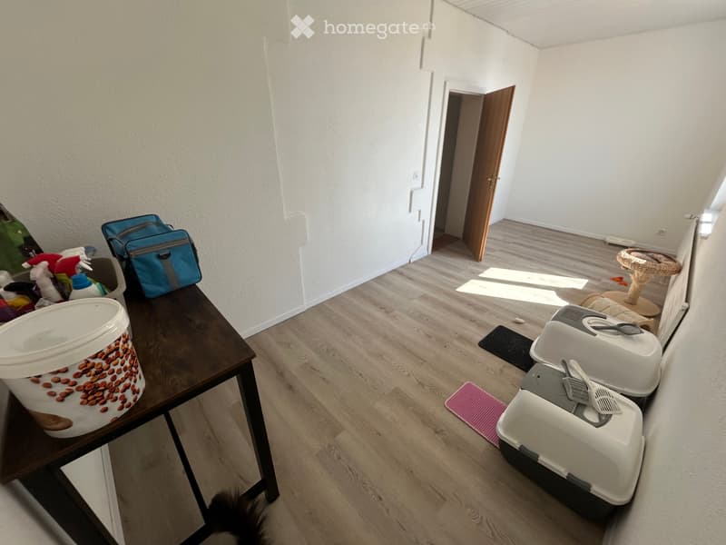 Appartement 4.5 pièces à louer (3)