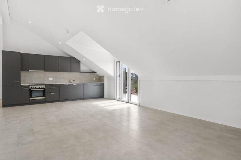 Appartement 4,5 pièces Montpreveyres (12km Lausanne) (1)