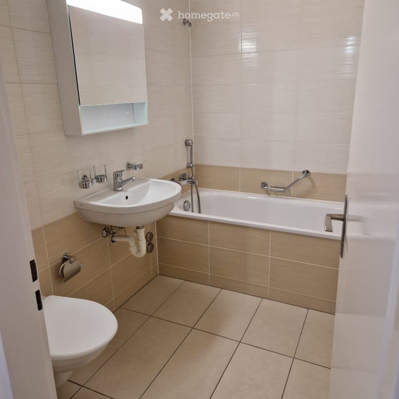 Location Appt 3,5 Renens près de la piscine (2)