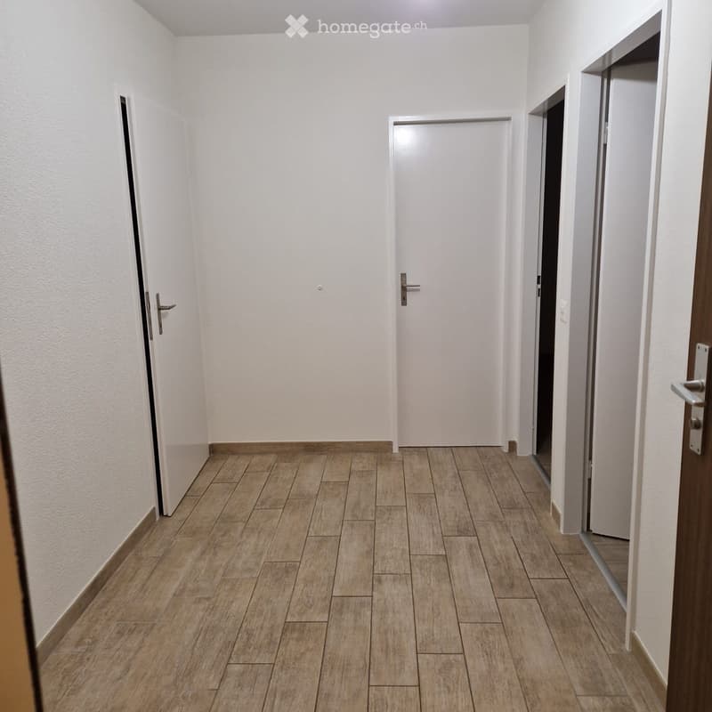 Location Appt 3,5 Renens près de la piscine (4)