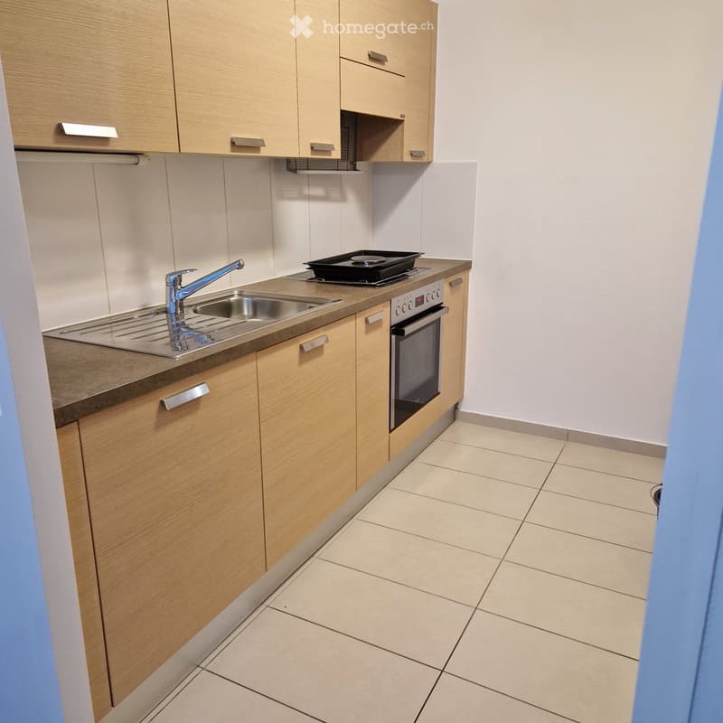 Location Appt 3,5 Renens près de la piscine (3)
