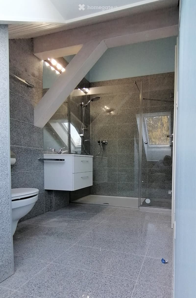 Magnifique villa d'architecte, proche de Lausanne (6)