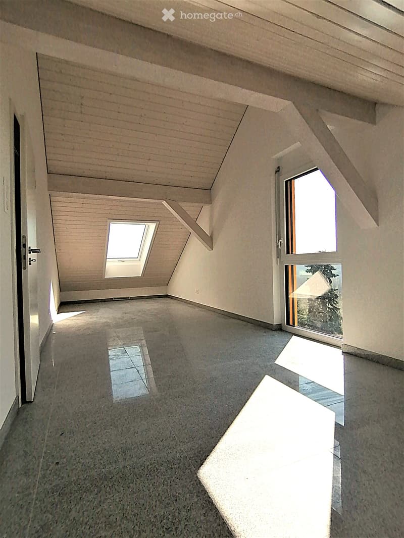 Magnifique villa d'architecte, proche de Lausanne (9)