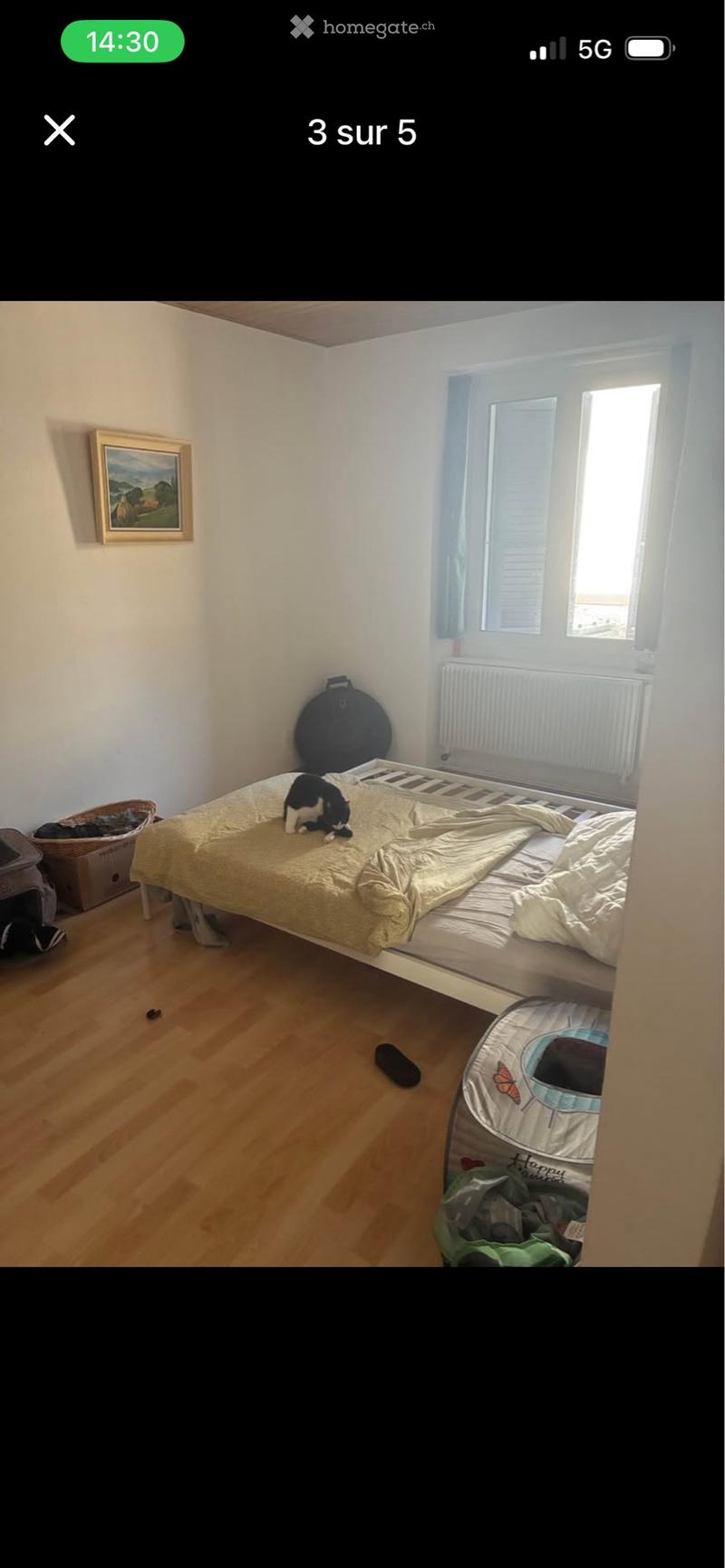 Appartement 1,5 pièce à Moutier (3)