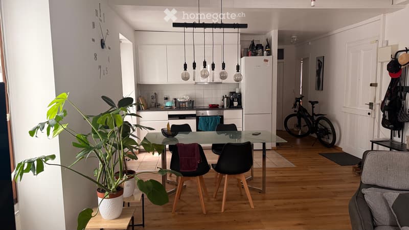 Bel appartement lumineux à Versoix Vue sur le lac (2)