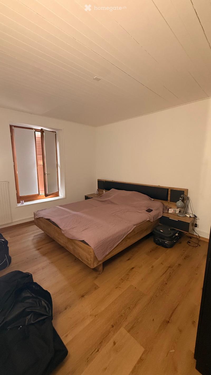 Bel appartement lumineux à Versoix Vue sur le lac (4)