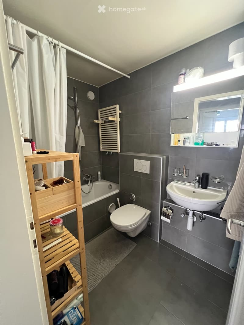 Appartement de 2,5 pièces à louer à Montelly (4)