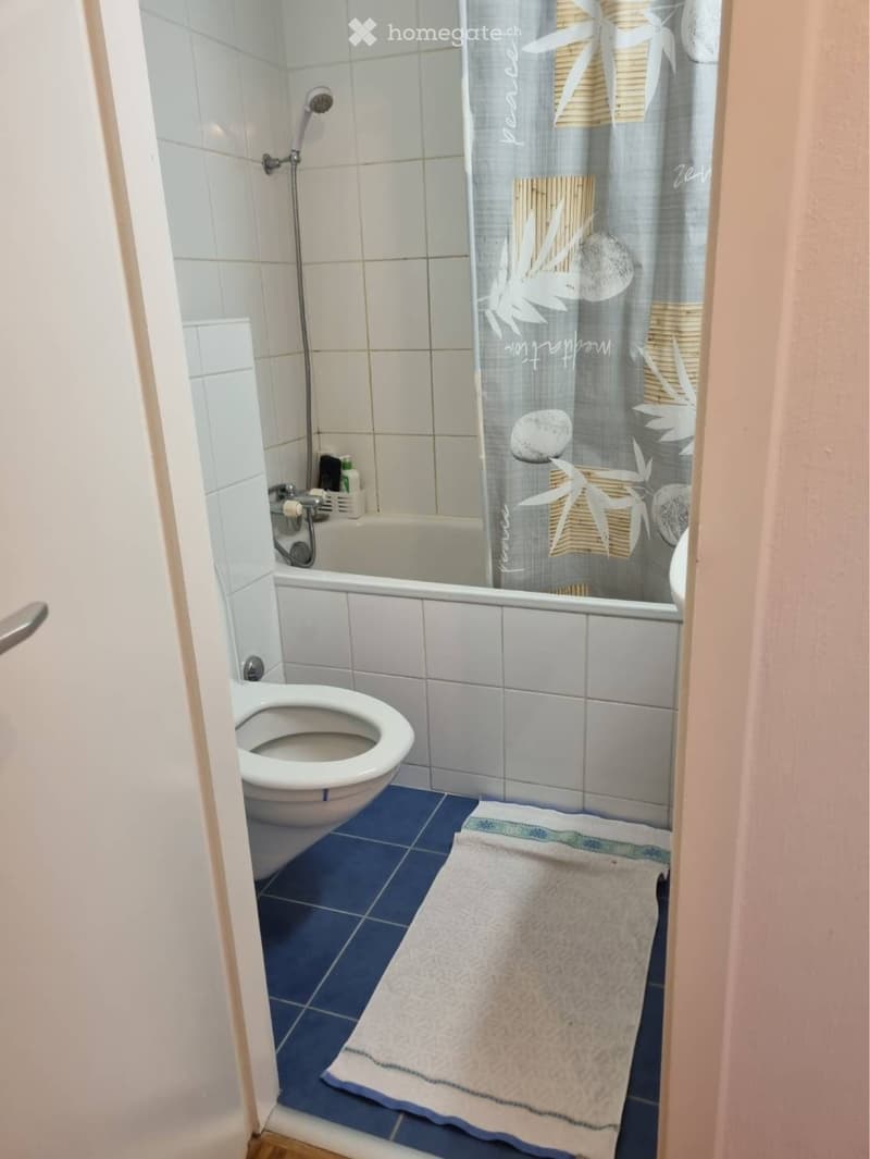 Magnifique appartement de 3 pièces - Libre 1er octobre (3)