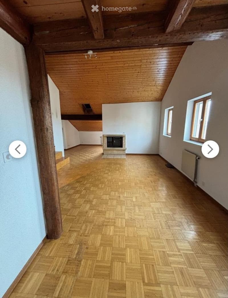 Duplex lumineux 5.5 pièces à Morrens (VD) (1)
