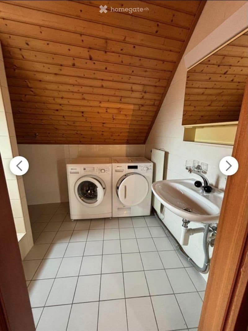 Duplex lumineux 5.5 pièces à Morrens (VD) (5)