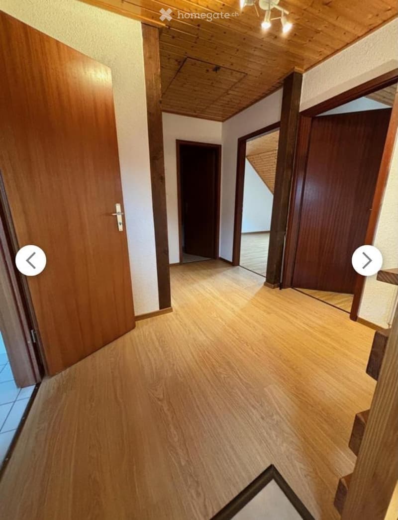 Duplex lumineux 5.5 pièces à Morrens (VD) (3)
