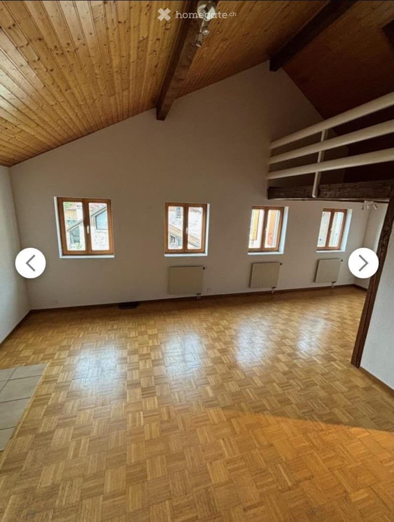 Duplex lumineux 5.5 pièces à Morrens (VD) (2)