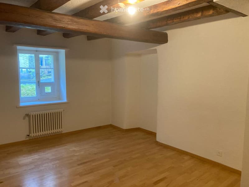 chambre en colocation sur les hauts de Villeneuve (4)