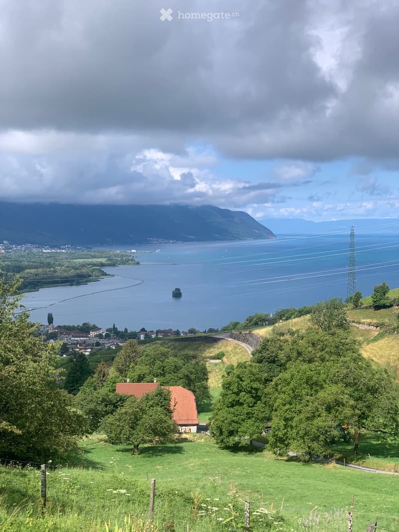 chambre en colocation sur les hauts de Villeneuve (1)