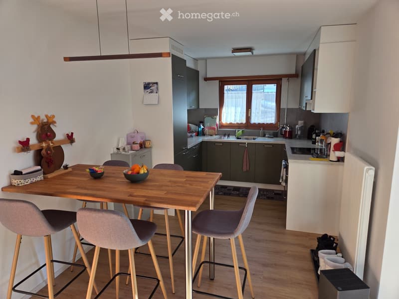 Charmant appartement meublé avec terrasse et garage (3)