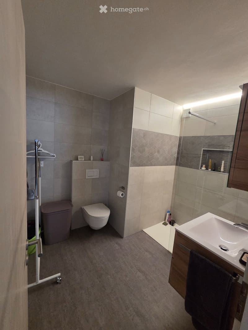 Charmant appartement meublé avec terrasse et garage (4)