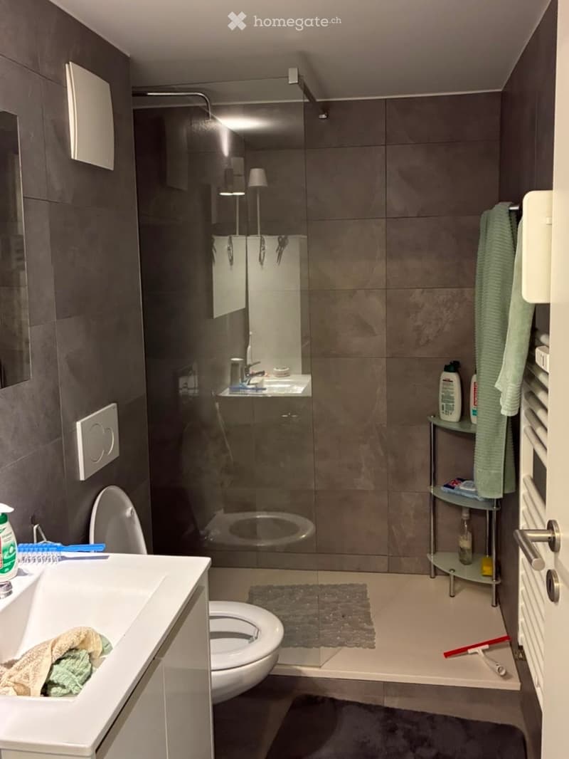 Appartement 2.5 à louer (4)
