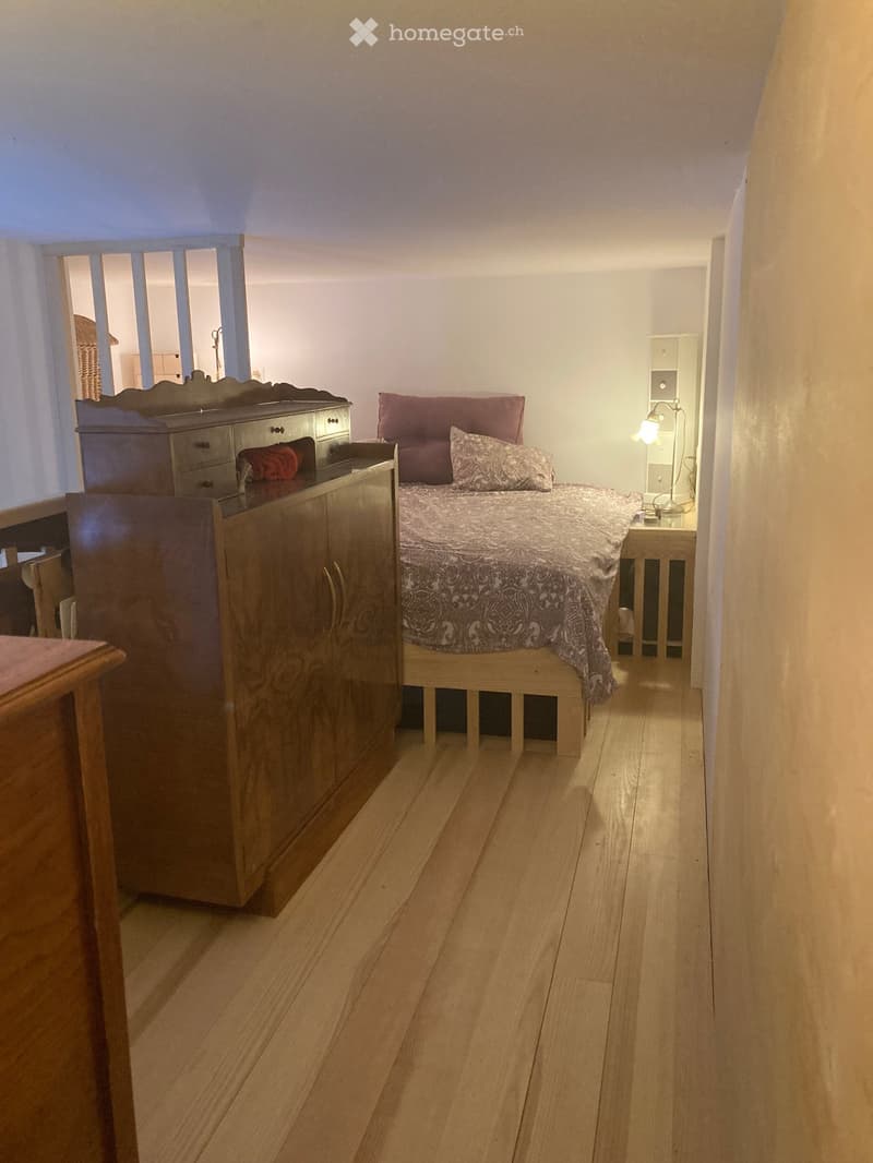 Meublé de charme / charming furnished flat, 70m2 (5)