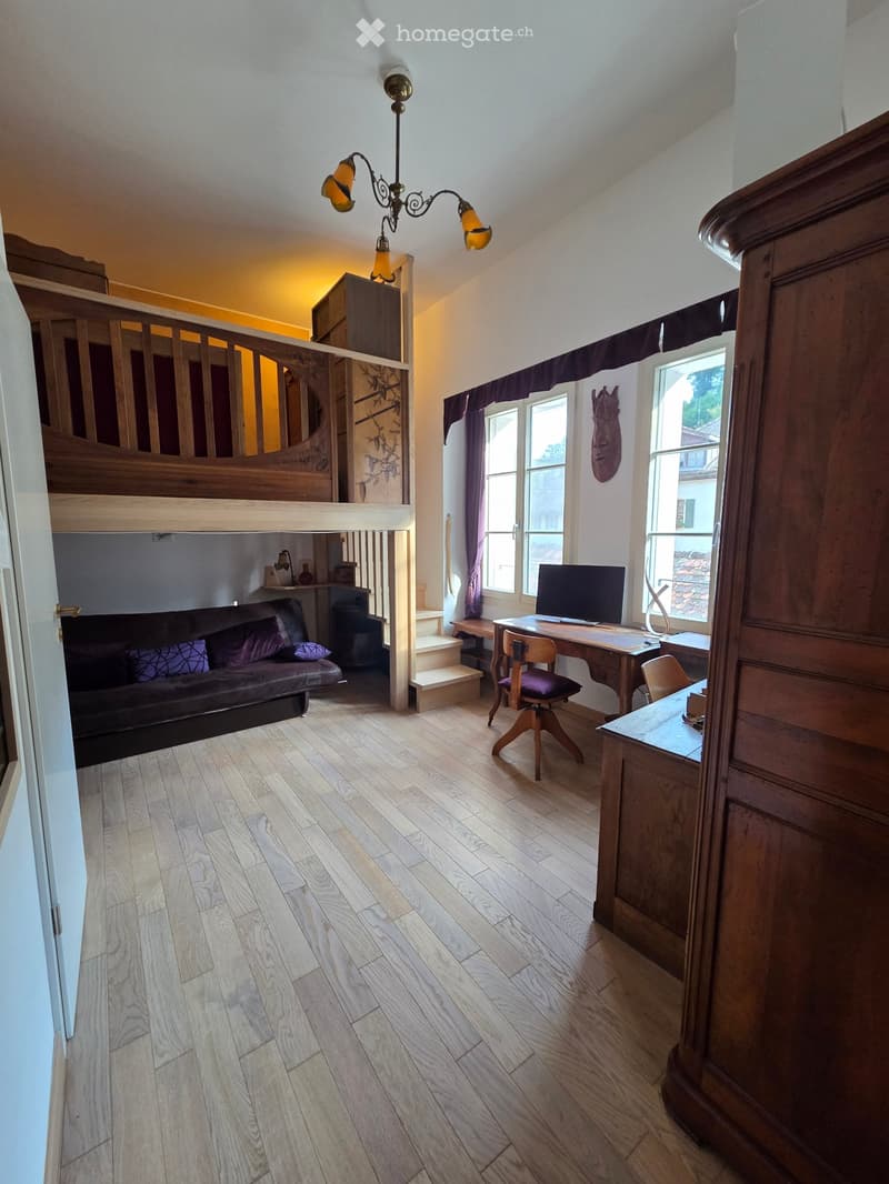 Meublé de charme / charming furnished flat, 70m2 (4)