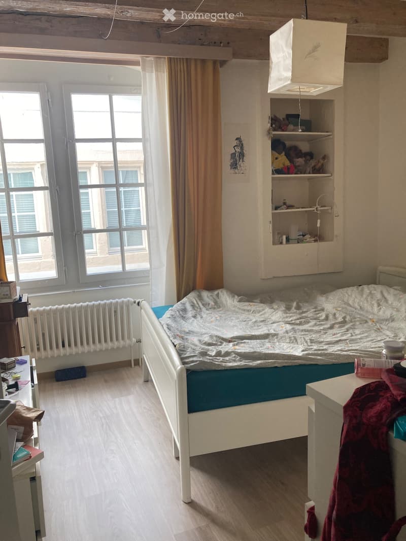 Beau 3 pièces avec Cachet - Reprise de bail le 15 septembre (3)