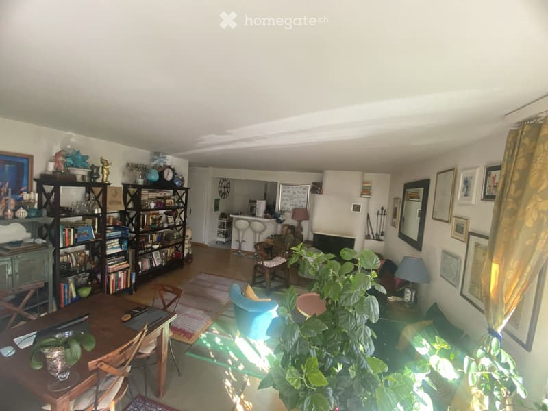 Charming, Bright, Spacious Furnished Room to Rent (3)