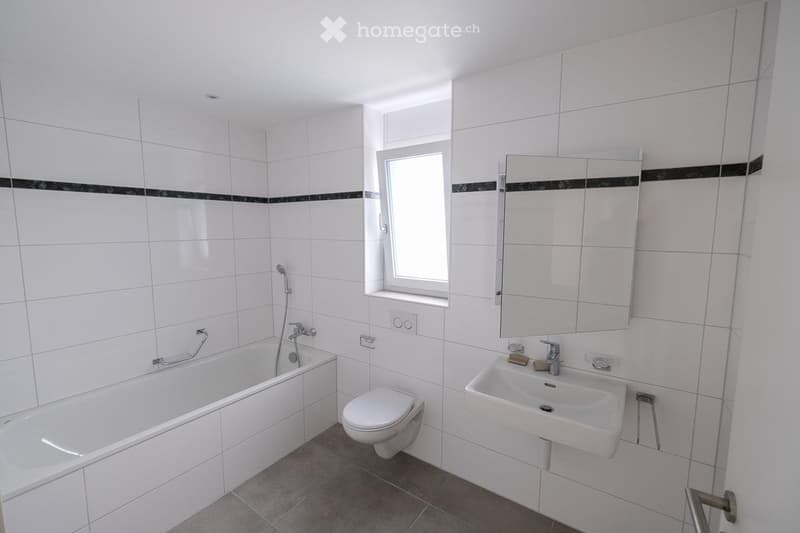 Appartement en attique meublé pour courte ou longue durée (4)