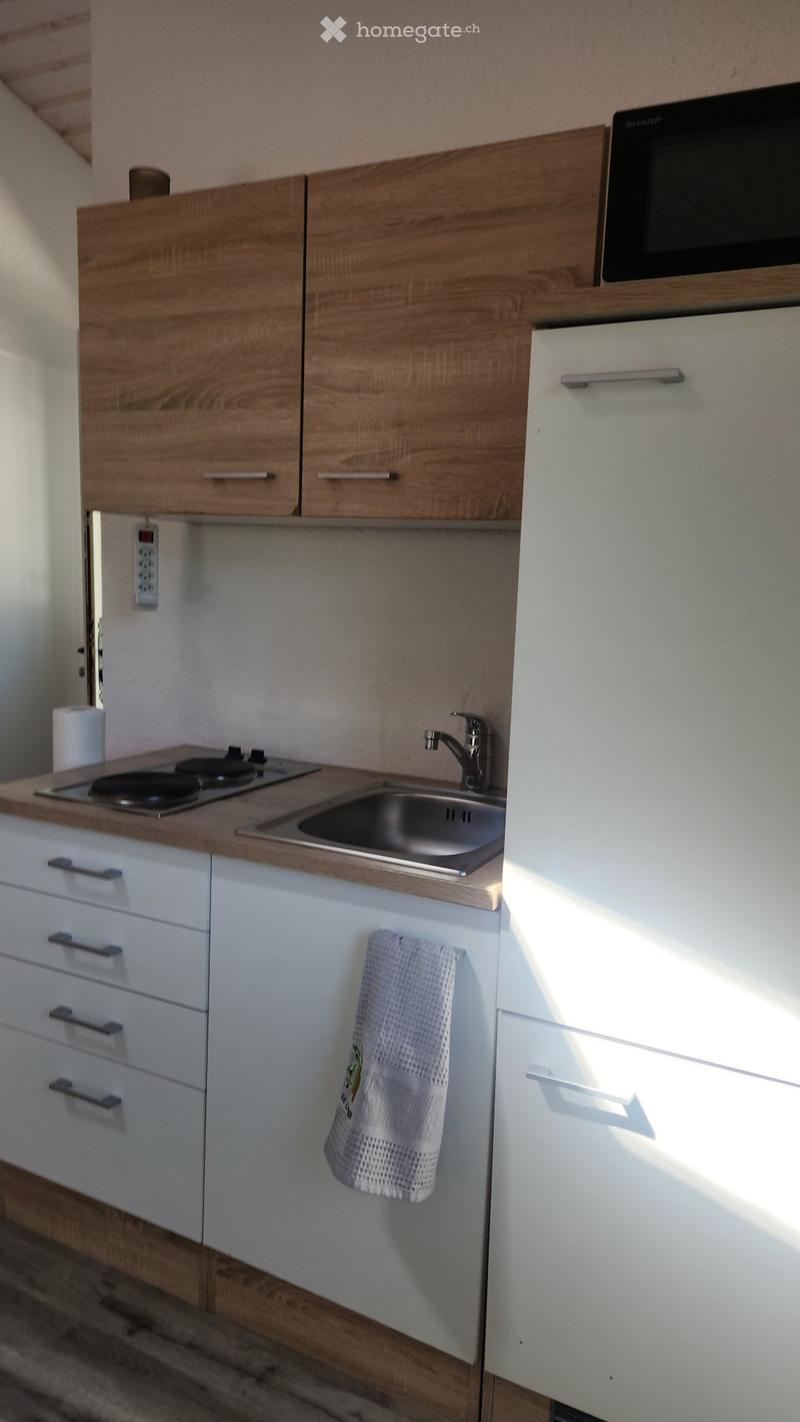 Loft de 35 m2 meublé avec place de parc (5)