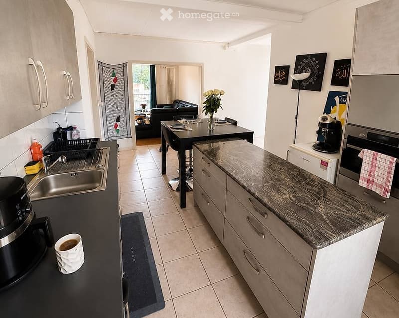Appartement 3,5 pces à louer (3)
