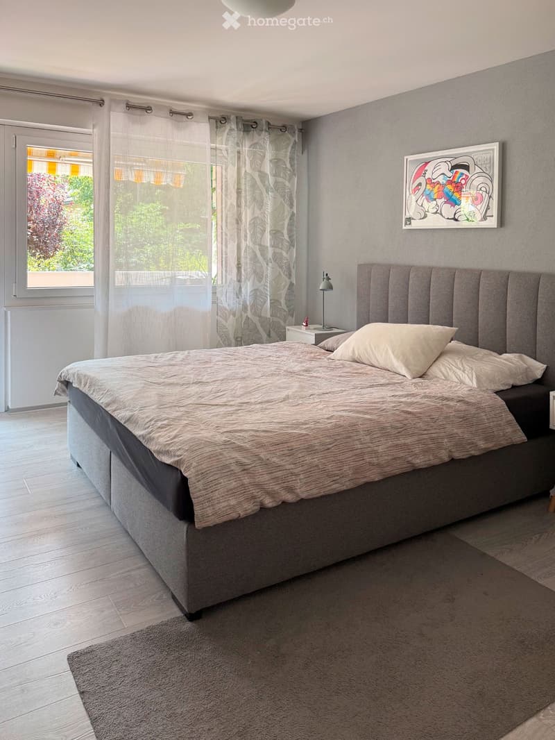 Magnifique appart. 4.5 pièces partiellement meublé à Réchy. (3)
