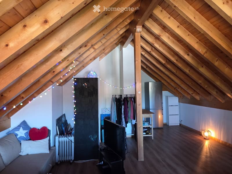 Grande pièce de 44 m2 à l'étage d'une colocation à 3 (3)