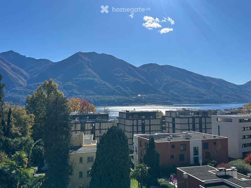Lake & Mountain View - beautifully 1.5-room Attic - Minusio (1)