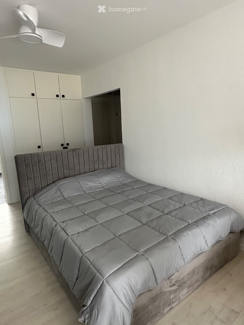 Lake & Mountain View - beautifully 1.5-room Attic - Minusio (4)