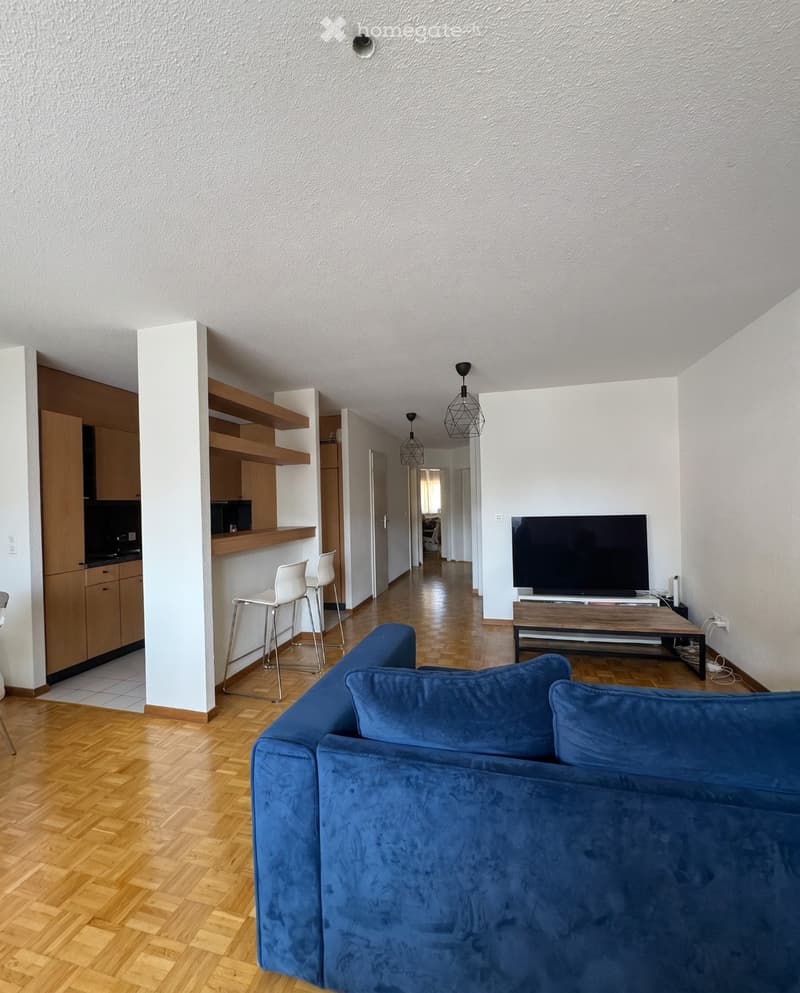 Superbe appartement 3.5 pièces traversant (1)