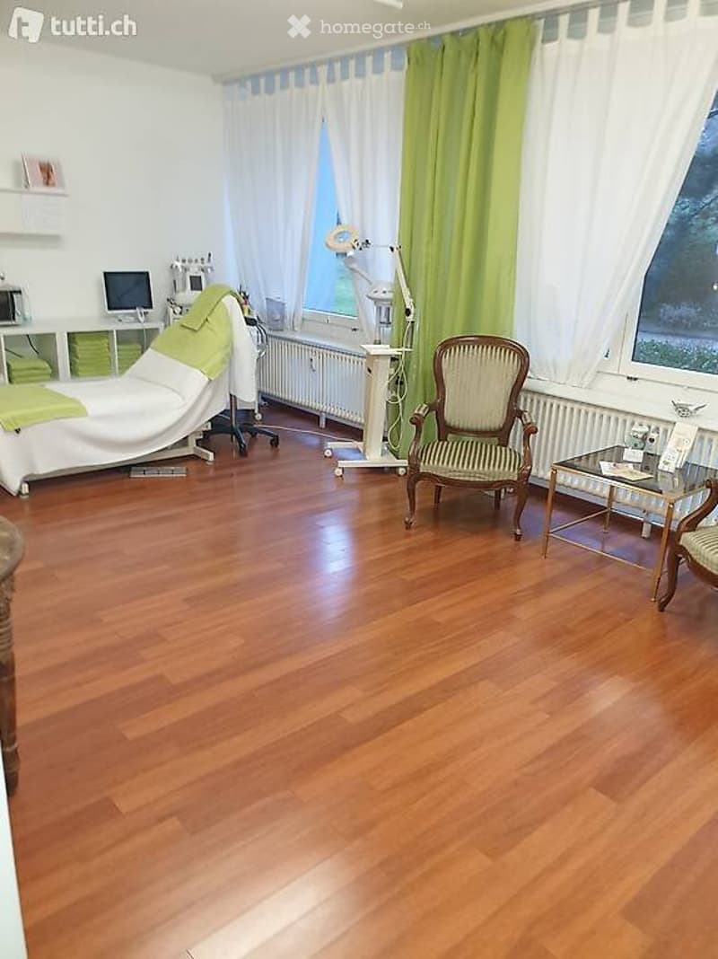 1 ½ rooms apartment in Basel (3)