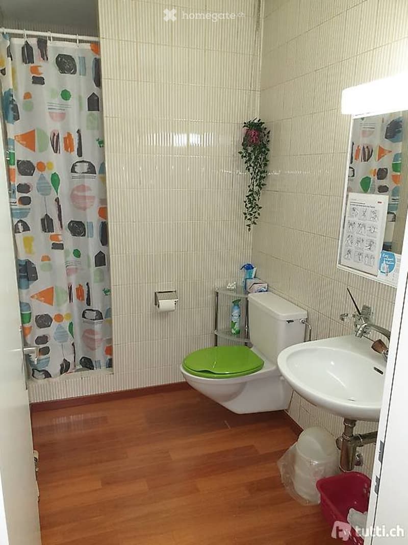 1 ½ rooms apartment in Basel (5)