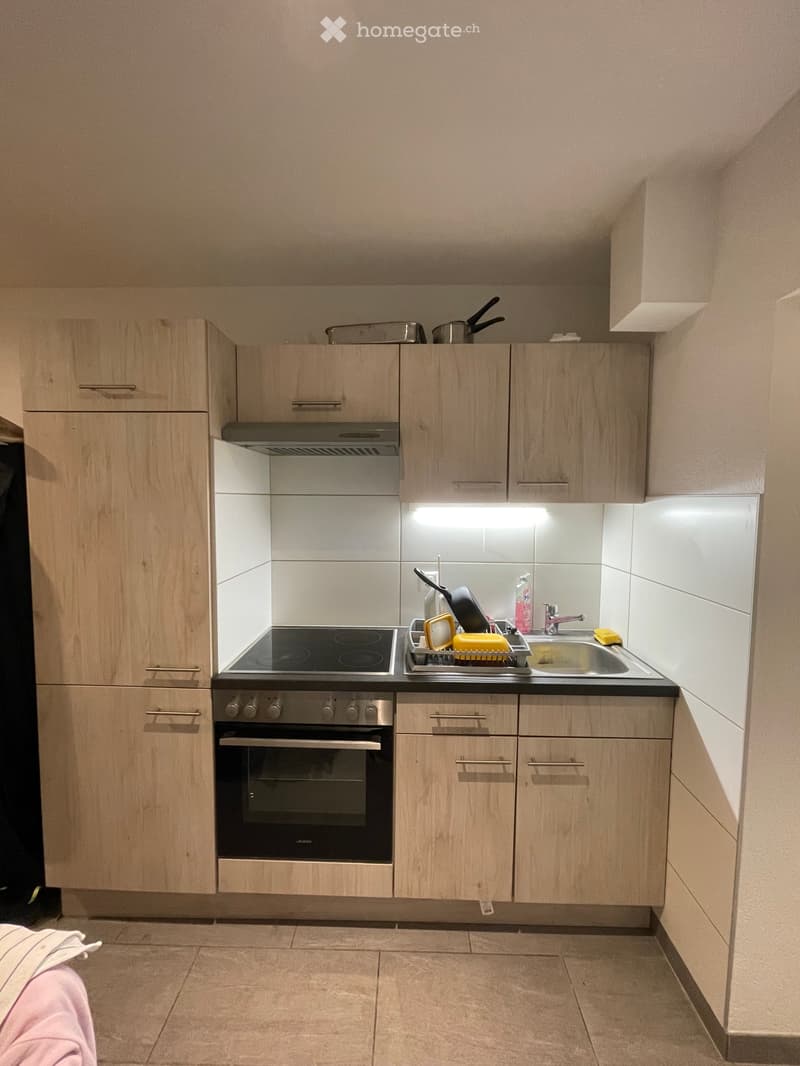 Reprise de bail - Appartement meublé rénové à neuf (2)